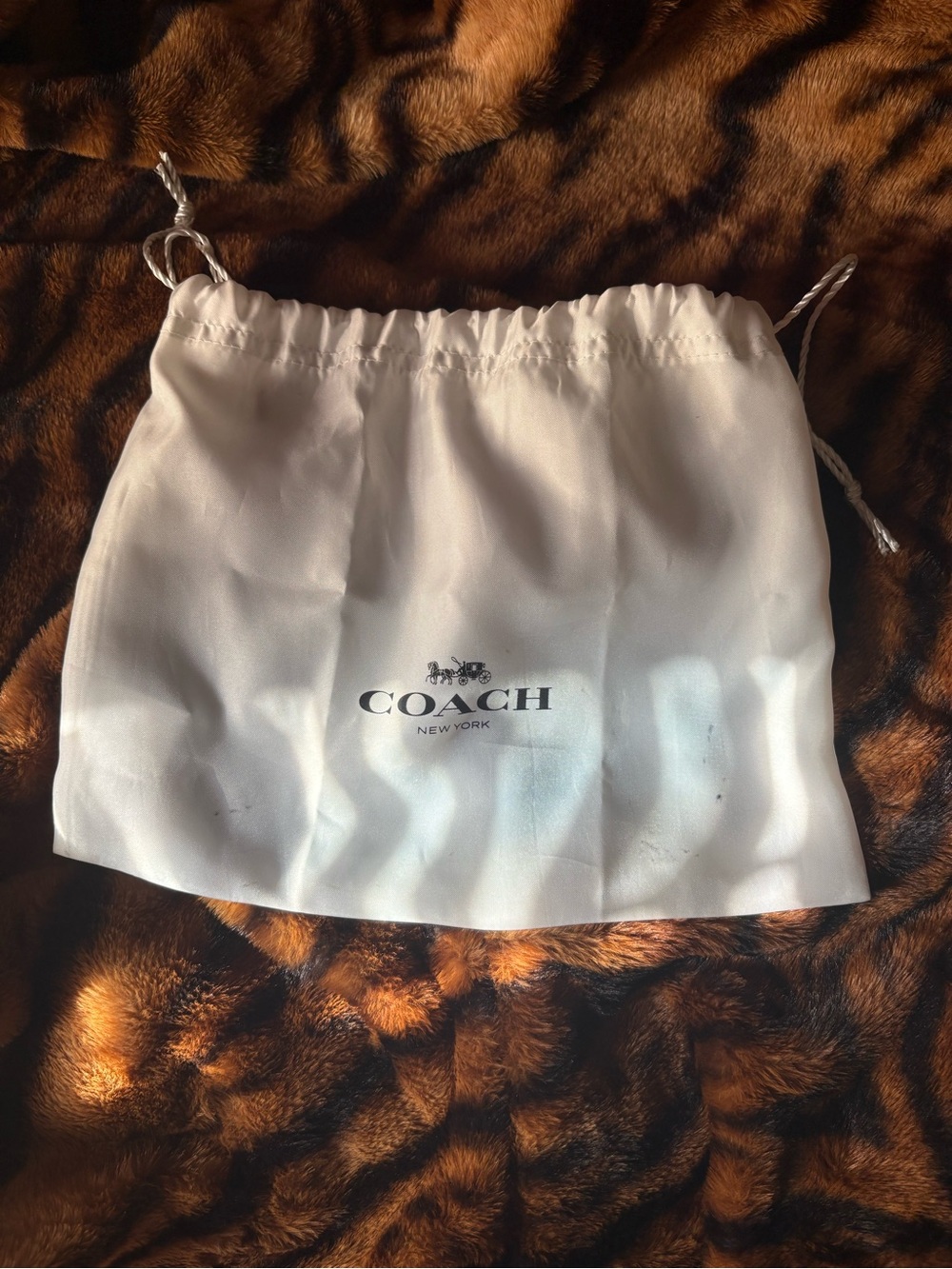 Coach Swinger Limited Re-edition - Picture 3 of 3